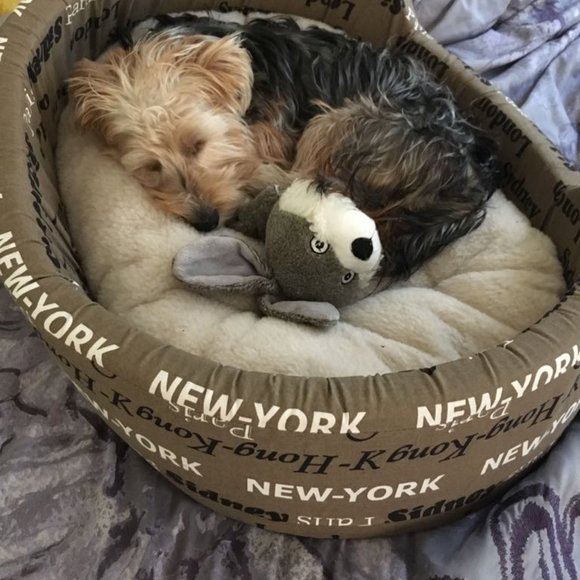 Meet your Posher, Michelle - Picture 12 of 16